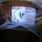 Halloweeen græskar