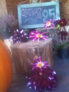 pluk selv blomster