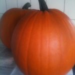 Halloween Græskar